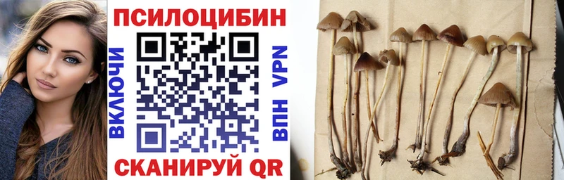 Псилоцибиновые грибы мухоморы  Купить где  Белокуриха 